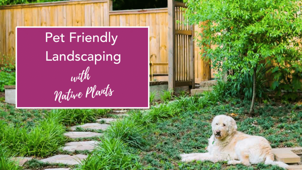 Pet-Friendly Landscaping with Native Plants - Barking Bungalow