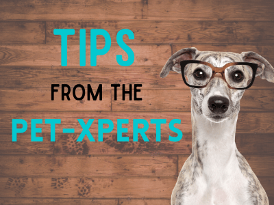 Tips From Pet-experts