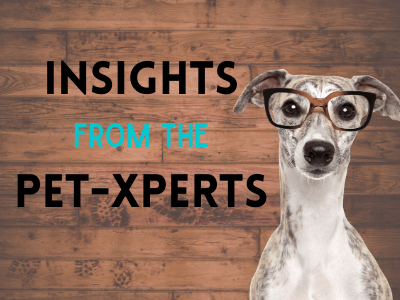 Pet-expert Insights