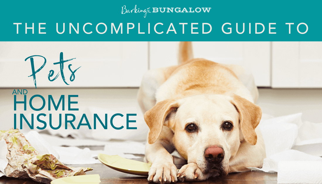 Home Pet Insurance