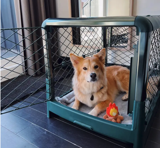 Modern Dog Crate