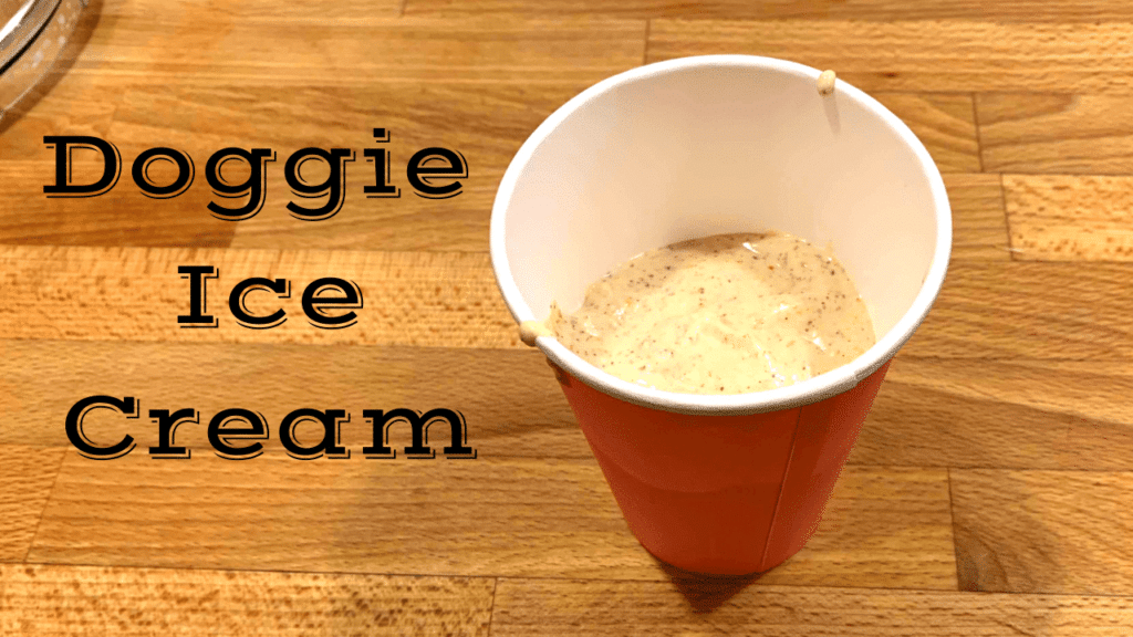 Doggie Ice Cream