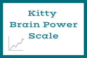 Kitty Brain Power Scale