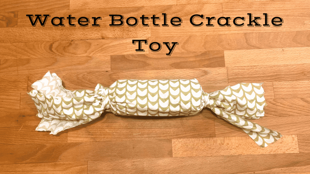 DIY Water Bottle Crackle Toy - 30 Ways things to do with your dog indoors