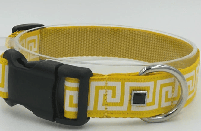 Greek Key Dog Collar