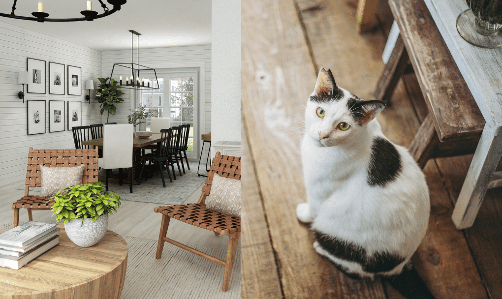 Modern Farmhouse Design with Pets