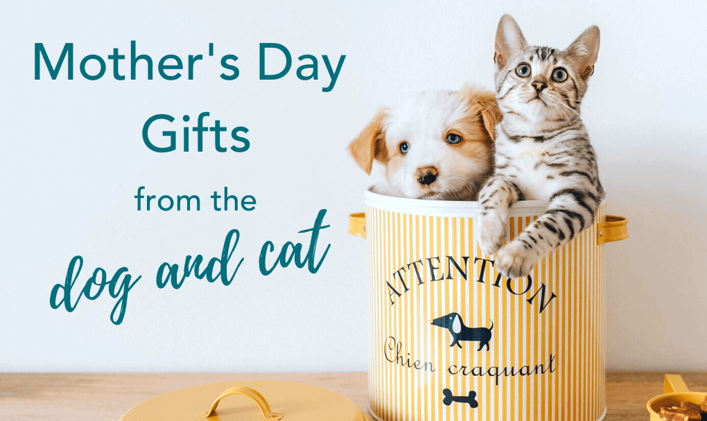 Mother's Day Gifts from the dog and cat