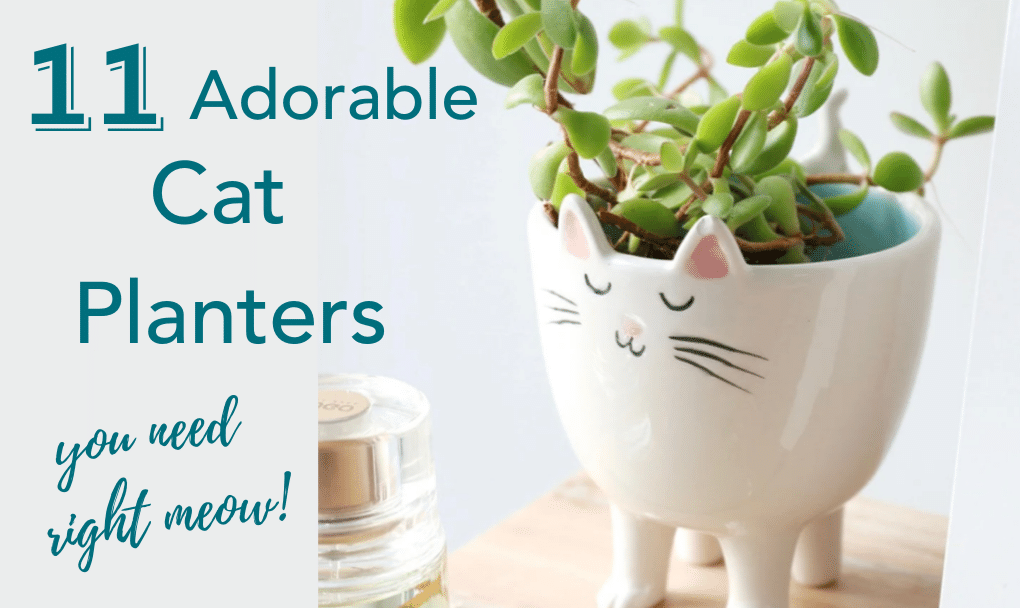 11 Adorable Cat Planters