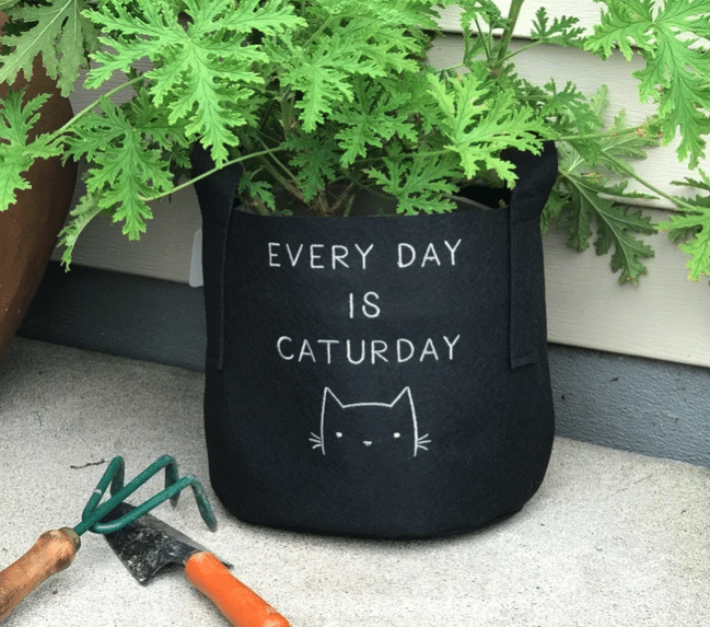 Caturday Cat Planter