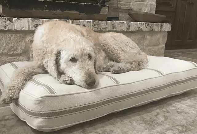 Farmhouse Style Dog Bed