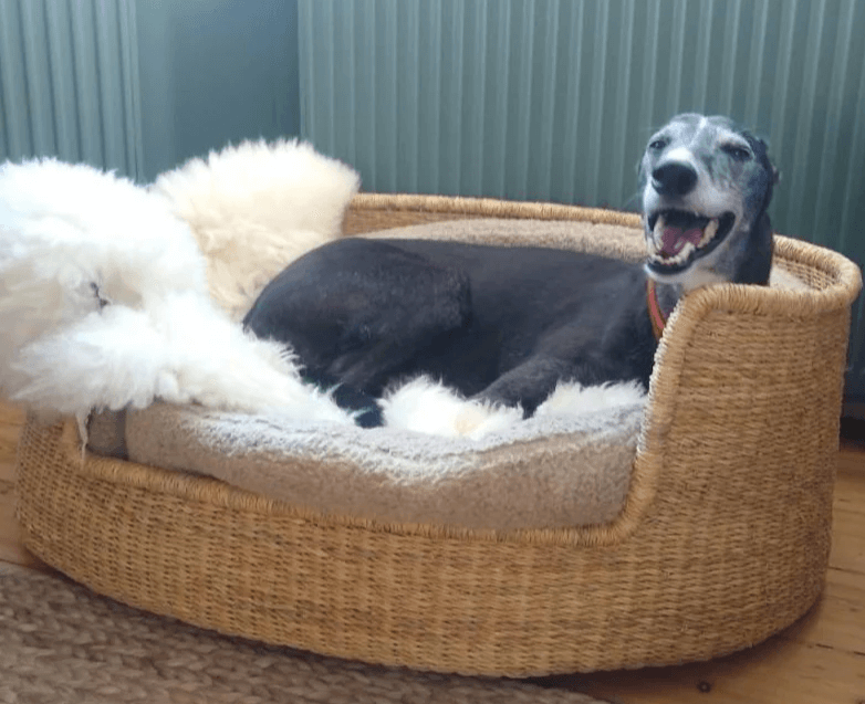 FARMHOUSE STYLE DOG BED