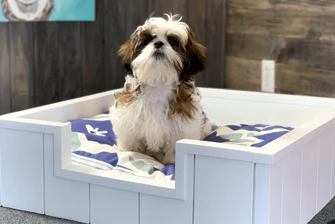 Farmhouse Style Dog Bed