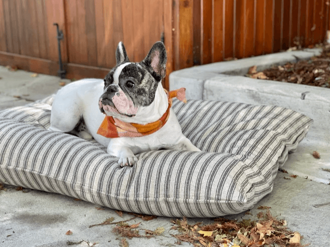 Farmhouse Style Dog Bed