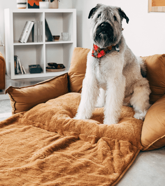 Farmhouse Style Dog Bed