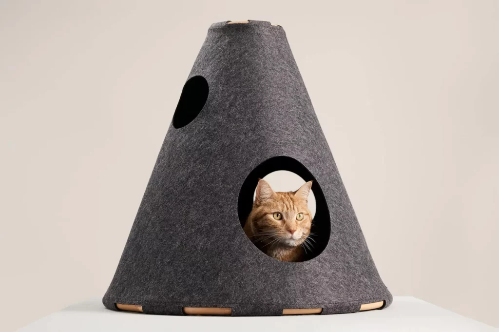 indoor cat tents