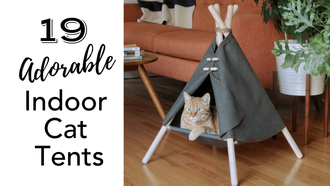 19 Adorable Indoor Cat Tents: A Stylish Hideway for Your Feline Friend