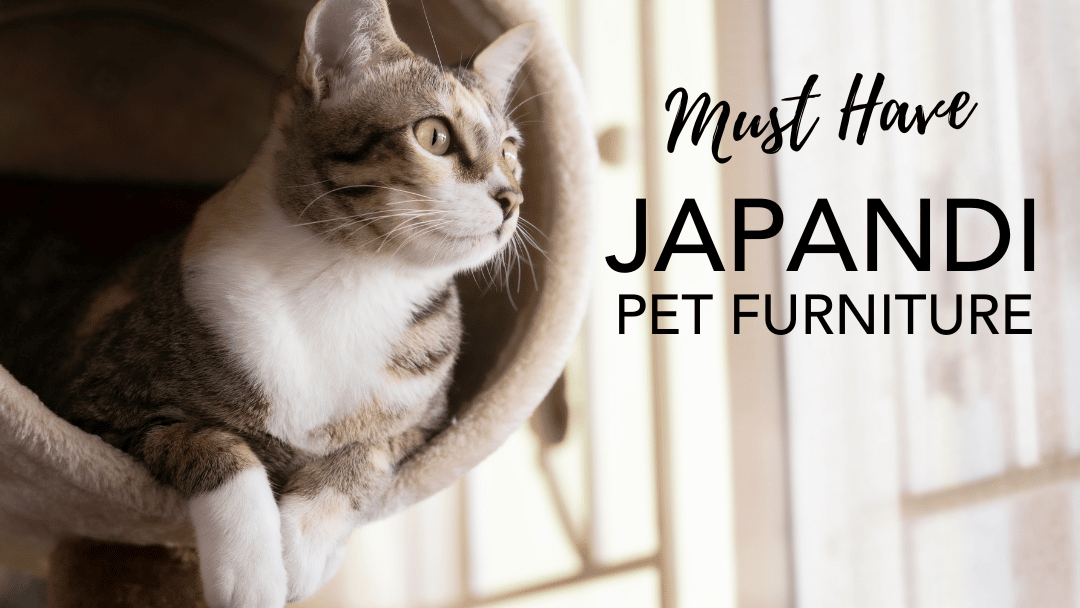 Must-Have Japandi Pet Furniture  for the Modern Pet