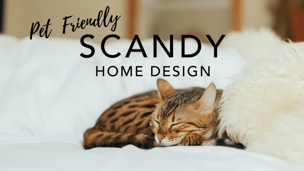 Pet-Friendly Scandy Home Design