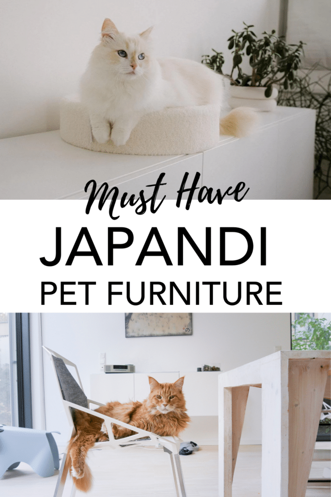 Japandi Pet Furniture